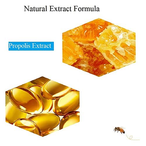 2PCS Bee Balm Honey Pot, Propolis Moisturizing Lip Mask, Hydrating & Prevention - Image 5