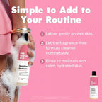 Her Fantasy Box | Sensitive Probiotic+ Gentle Cleanser – Fragrance-Free - Image 2