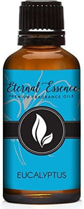 Eternal Essence Oils Eucalyptus 30ml Premium Fragrance Oil by EternalEssenceOils