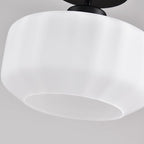 Industrial Black Matte Light Fixtures Ceiling Mount, - Image 3