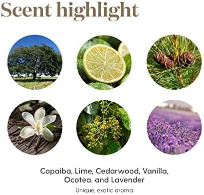 Young Living Stress Away Essential Oil Blend 5ml – Aromatic Oil - Image 4