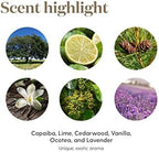 Young Living Stress Away Essential Oil Blend 5ml – Aromatic Oil - Image 4