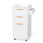 OmySalon Salon Cart with Wheels, 3-Tier Rolling Hair Styling Station, 2 Drawers by OmySalon