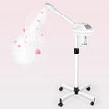 Retain time face Steamer Clean Skin Firming Pores and Moisturizing Suitable by BeautyPersonalCare