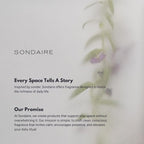 Arborere Room Spray | Luxury Natural Home & Linen Mist | Warm Spices, Amber & - Image 7
