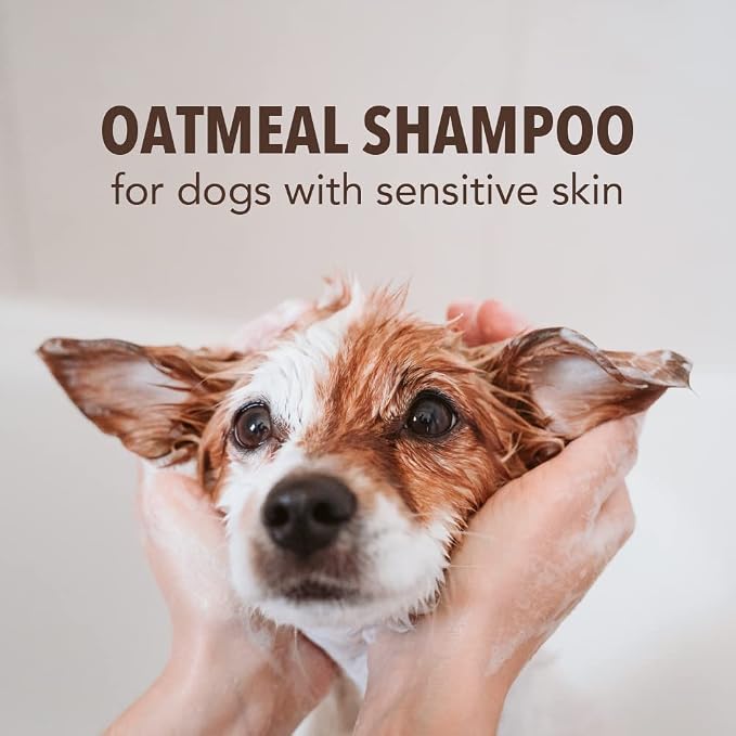 Sergeant’s Fur-So-Fresh Oatmeal Dog Grooming Shampoo - Image 5