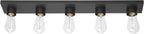 Globe Electric 5-Light Vanity Light, Matte Black, Modern Glam, Bathroom Fixture by GlobeElectric
