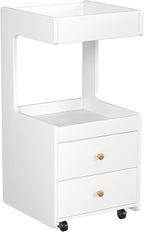 Salon Trolley Cart, Esthetician Cart - Image 2