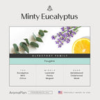 AromaPlan Hotel Scents Minty Eucalyptus 16 Fl Oz, Home Luxury Aroma & Hotel - Image 2