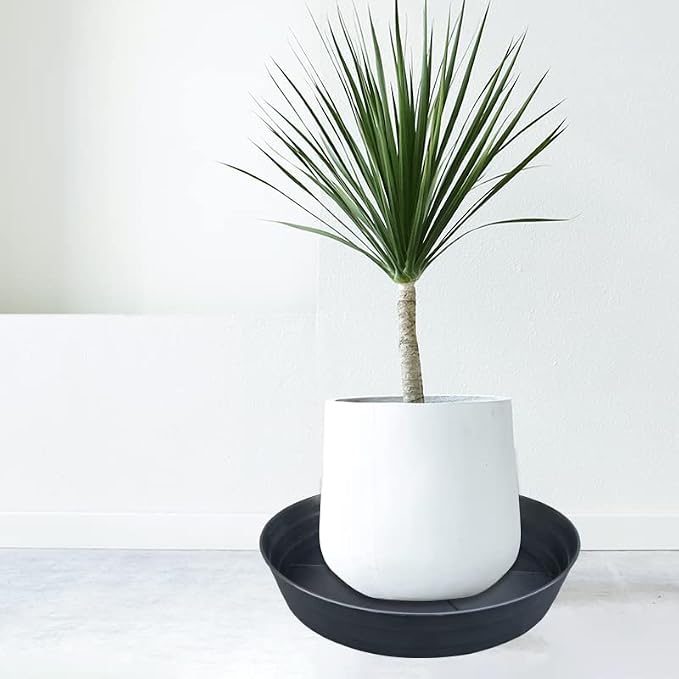 LWALRS Plant Saucer 16 Inch 2 Pack 10 12 14 16 18 20 25, Plastic Plant Trays - Image 3