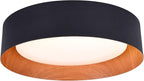 Bargeni Flush Mount Ceiling Light, 13 inch Ceiling Light Fixtures, Matte Black by Bargeni