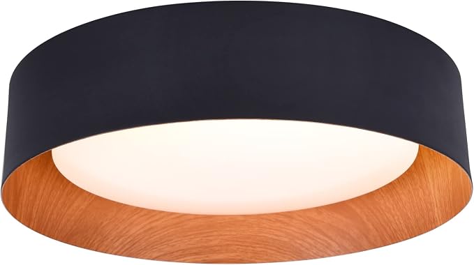 Bargeni Flush Mount Ceiling Light, 13 inch Ceiling Light Fixtures, Matte Black by Bargeni