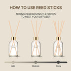 COCODOR Herbarium Reed Diffuser/Black Cherry/6.7oz/ Fragrance Scent Essential - Image 4