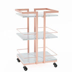 Esthetician Cart with Wheels Utility Salon Rolling Trolley, Mobile Storage by OmySalon