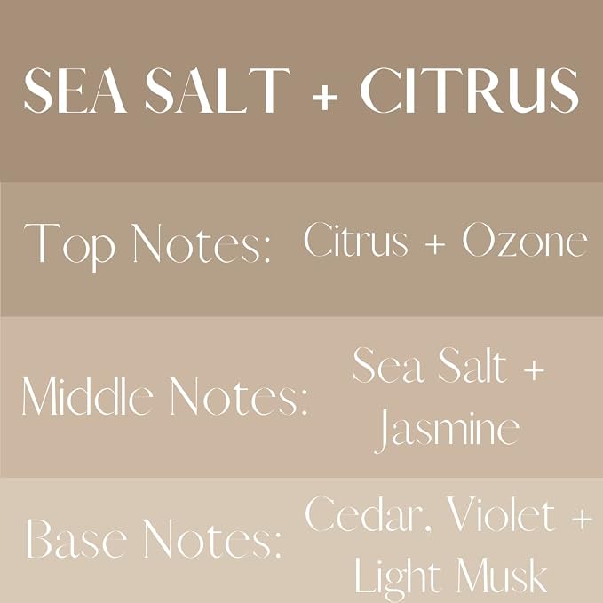 River Birch Sea Salt + Citrus Scented Linen and Room Spray | Home Fragrance | 4 - Image 3