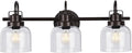 Bronze Bathroom Vanity Lights, 3-Light Vanity Light Fixtures by RokiniiCasa