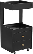 Salon Trolley Cart, Esthetician Cart - Image 2