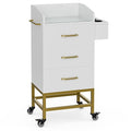 Paddie Beauty Salon Storage Trolley Cart, Glass Top Hair Station Cabinet by Paddie