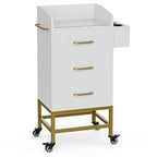 Paddie Beauty Salon Storage Trolley Cart, Glass Top Hair Station Cabinet by Paddie