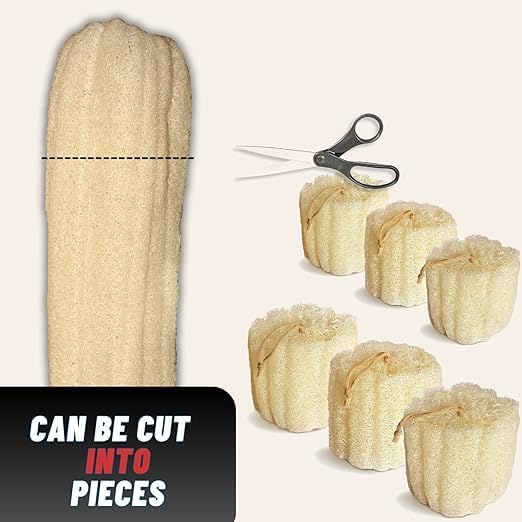 Whole Egyptian Loofah Around 22" 100% Natural Organic Loofah Exfoliating - Image 5