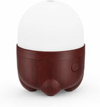 SEEDSEEL 150ML Rechargeable Battery Essential Oil Diffuser, Portable Cordless by SEEDSEEL