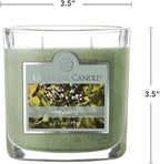 Colonial Candle Bayberry Scented Jar Candle, 2 Wick, 3.5 oz, Mottled Wax Candle - Image 5