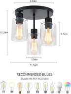 3-Light Industrial Farmhouse Black Matte Light Fixtures Ceiling Mount, - Image 4