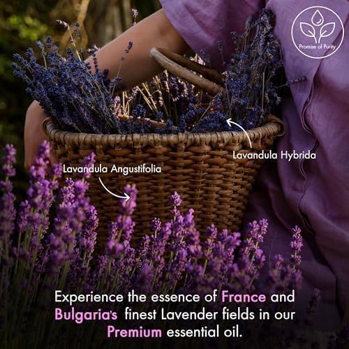 Majestic Pure Essential Oil - Image 3
