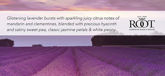 Root Candles Scented Candles Honeycomb Veriglass Premium Handcrafted Beeswax - Image 2