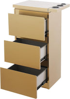 Stainless Steel Beauty Salon Storage Cabinet, 3-Drawer Rolling Styling Station - Image 5