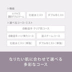 Panasonic Steamer Nano Care W-Warm/Cold Esthetic Type - Image 8
