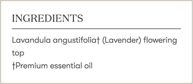 Lavender Essential Oil 5ml by Young Living – Pure Lavender Oil - Image 7