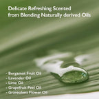 HARUHARU wonder Black Bamboo Mist, Hydrating and Firming Skin, Panax Ginseng - Image 8