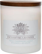 Carolina Enchanting Lavender Scented Candle, 16 oz Wellness Relaxing by CAROLINA