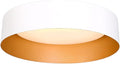 Bargeni LED Ceiling Light Fixture, 12.5 inch Flush Mount Light Fixture by Bargeni