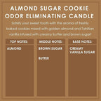 Almond Sugar Cookie Odor Eliminating Highly Fragranced Candle - Image 4
