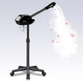 Professional Facial Steamer on Wheels, Spa Face Steamer by Professionalbeautyhaircaretools