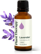 Plant Therapy Lavender Essential Oil 100% Pure, Natural Aromatherapy 30 mL by PlantTherapy