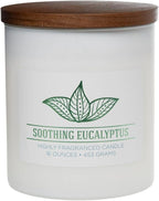 Carolina Soothing Eucalyptus Scented Candle, 16 oz Wellness Relaxing by CAROLINA