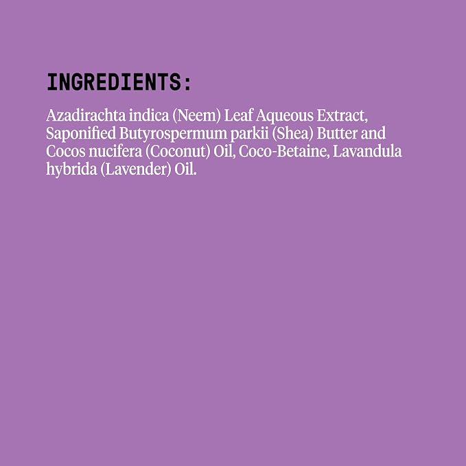 Alaffia Body Wash, EveryDay Shea, Lavender 2-Pack – Gentle Skin Cleanser - Image 3