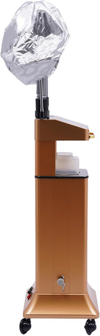 Multifunctional Hair Steamer Cold Mist Ozone Oil Treatment Dyeing Machine - Image 7