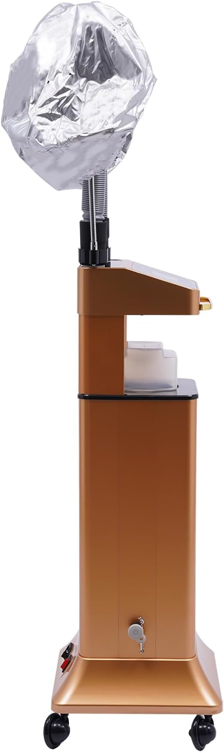 Multifunctional Hair Steamer Cold Mist Ozone Oil Treatment Dyeing Machine - Image 7