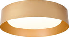 Bargeni Flush Mount Ceiling Light, 16.5 inch LED Ceiling Light Fixture by Bargeni
