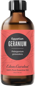 Edens Garden Geranium-Egyptian Essential Oil- 100% Pure Premium Grade, by EdensGarden
