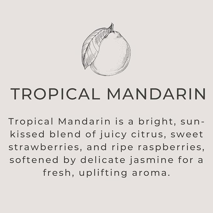 River Birch Tropical Mandarin Scented Linen and Room Spray | Home Fragrance | 4 - Image 3