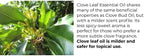 Essentially KateS Clove Oil 4 Fl Oz - Image 7