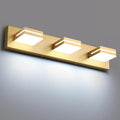 SineRise LED Modern Bathroom Vanity Light Fixtures, Matte Gold Modern Acrylic by SINERISELIGHTING