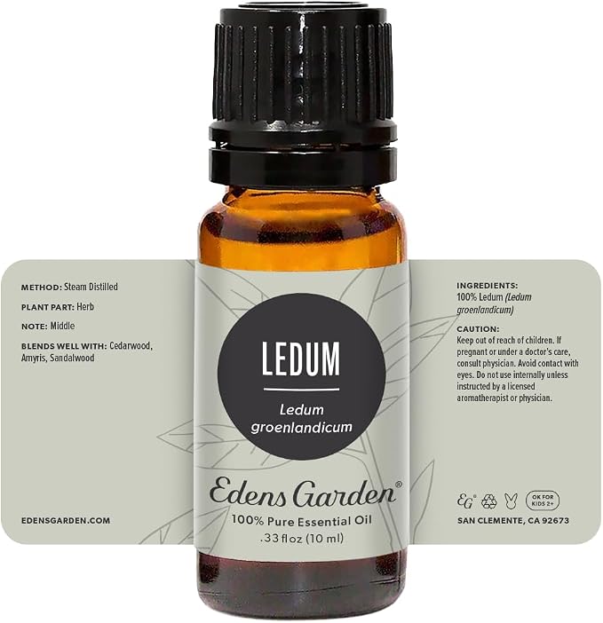 Edens Garden Ledum Essential Oil- 100% Pure Premium Grade, Therapeutic - Image 8