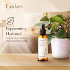 Gya Labs Peppermint Hydrosol - Image 3