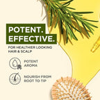 100% Pure Rosemary Essential Oil - Image 3